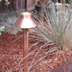 Illustration for article titled Lighting the Yard